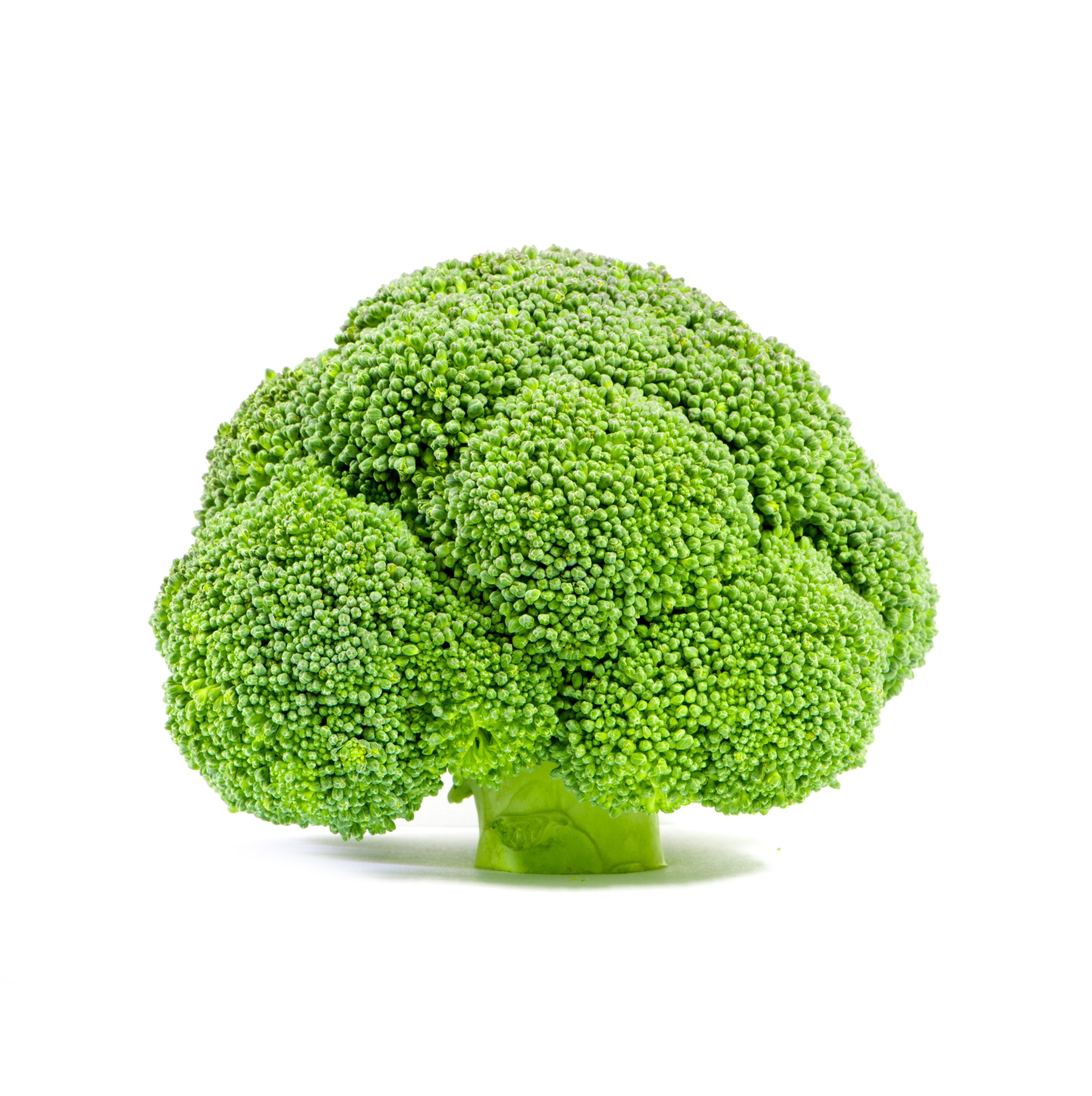 Broccoli,Isolated,On,White,Background